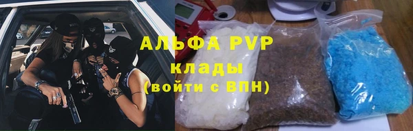 стаф Богородск