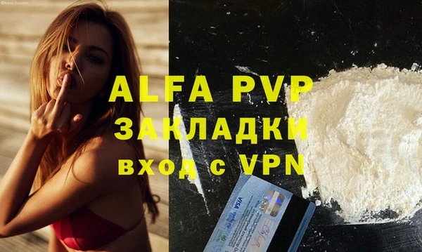 бошки Богданович