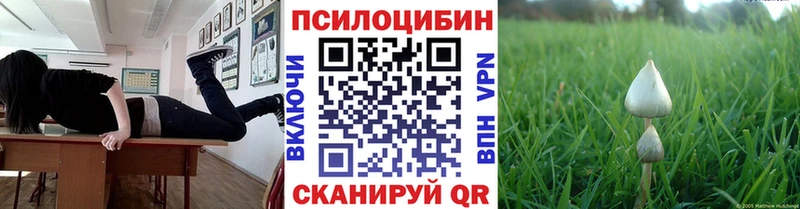 где можно купить   ОМГ ОМГ сайт  Псилоцибиновые грибы Psilocybine cubensis  маркетплейс как зайти  Тогучин 